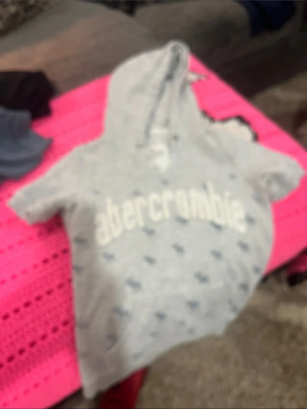 Abercrombie & Fitch Light Gray Hoodie with Navy Accents